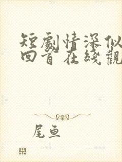 短剧情深似海难回首在线观看