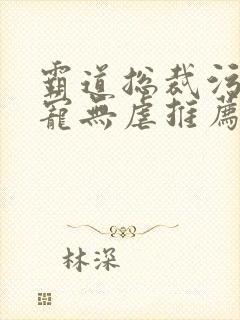 霸道总裁污文甜宠无虐推荐