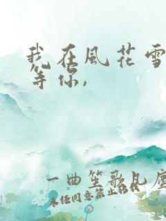 我在风花雪月里等你,