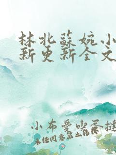 林北苏婉小说最新更新全文免费阅读