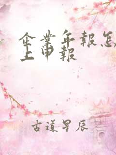 企业年报怎么网上申报