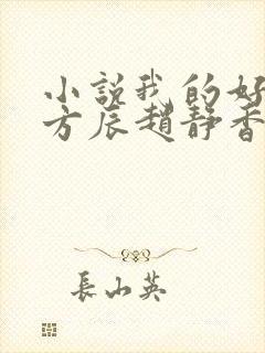 小说我的好女婿方辰赵静香在线阅读