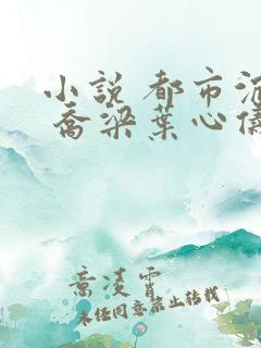 小说 都市沉浮 乔梁叶心仪