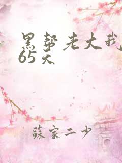 黑帮老大我的365天