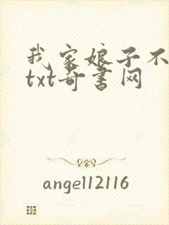 我家娘子不对劲txt奇书网