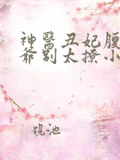 神医丑妃腹黑王爷别太撩小说免费阅读