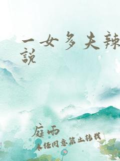 一女多夫辣文小说