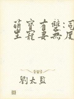 萌宝有双:司先生宠妻无度