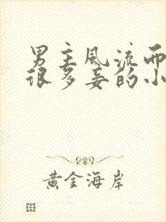 男主风流而且有很多妾的小说