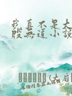 我真不是大反派殷无道小说