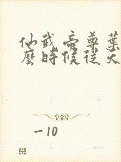 仙武帝尊叶辰什么时候从天界回来