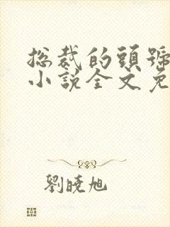 总裁的头号佳妻小说全文免费阅读