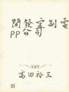 开发定制电商app公司