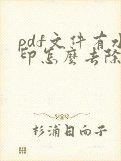 pdf文件有水印怎么去除