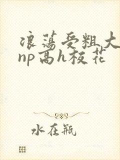 浪荡受粗大贯穿np高h校花