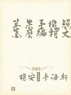 苹果手机照片上怎么编辑文字