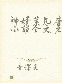 神婿叶凡唐若雪小说全文免费阅读