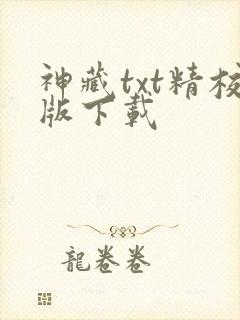 神藏txt精校版下载