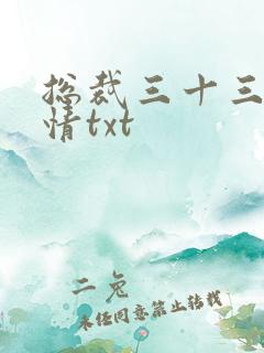 总裁三十三天索情txt