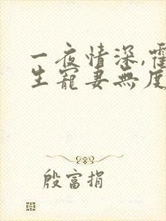 一夜情深,霍先生宠妻无度小说全部章节