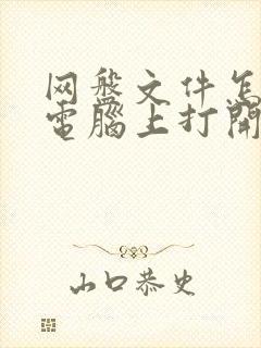 网盘文件怎么在电脑上打开