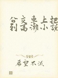 公交车上把岳弄到高潮小说