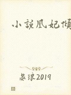 小说凰妃倾天下