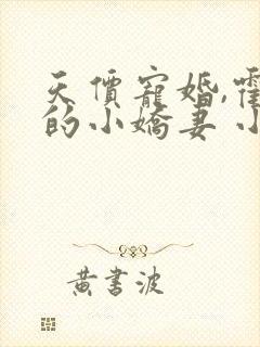 天价宠婚,霍总的小娇妻 小说