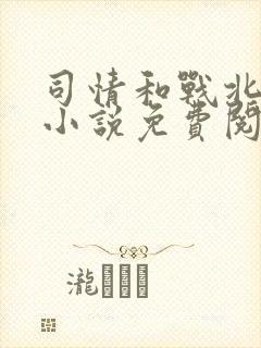 司情和战北霆的小说免费阅读