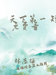 天下第一 短剧 免费看