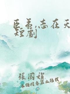 臣弟,志在天下 短剧