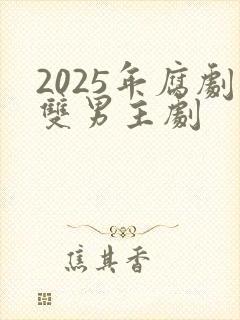 2025年腐剧双男主剧