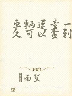 车辆违章一般多久可以查到