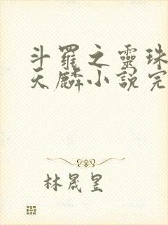 斗罗之灵珠神剑天麟小说完整版下载txt