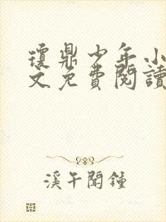 琼鼎少年小说全文免费阅读