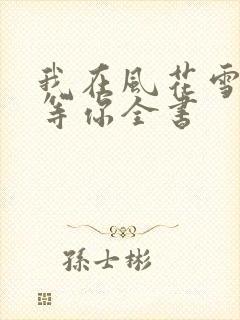 我在风花雪月里等你全书
