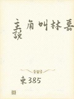 主角叫林嘉的小说