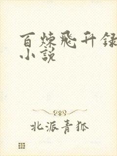百炼飞升录原著小说