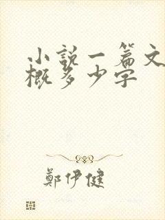 小说一篇文章大概多少字