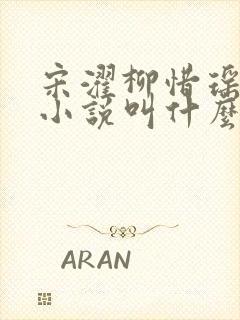 宋濯柳惜瑶原著小说叫什么名字