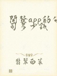 开发app的公司多少钱