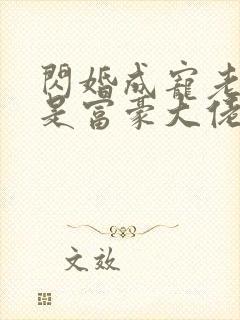 闪婚成宠老公竟是富豪大佬