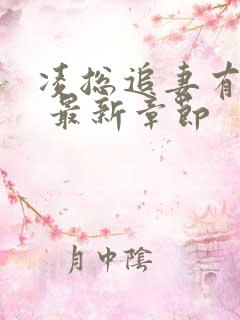 凌总追妻有点甜 最新章节