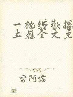 一枕缠欢总裁宠上瘾全文免费阅读