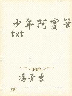 少年阿宾笔趣阁txt