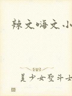 辣文嗨文小说网