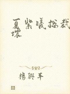 夏紫曦总裁别太坏