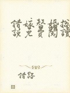 错嫁替婚总裁小说免费阅读全文