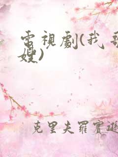 电视剧(我哥我嫂)