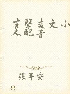 有声爽文小说双人配音